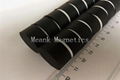 Rubber Coated Magnets 1