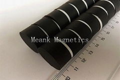 Rubber Coated Magnets