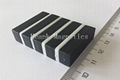 Neodymium Ring Magnets 1