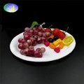 PP material Picnic plate round shape microwavable plastic plate