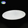 PP material Picnic plate round shape microwavable plastic plate