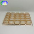 New design 16pcs packed dates plastic container 4