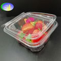 Take away disposable plastic transparent salad bowl 1