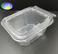 Take away disposable plastic transparent salad bowl 2