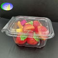 Take away disposable plastic transparent salad bowl 3