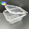 Take away disposable plastic transparent salad bowl 5