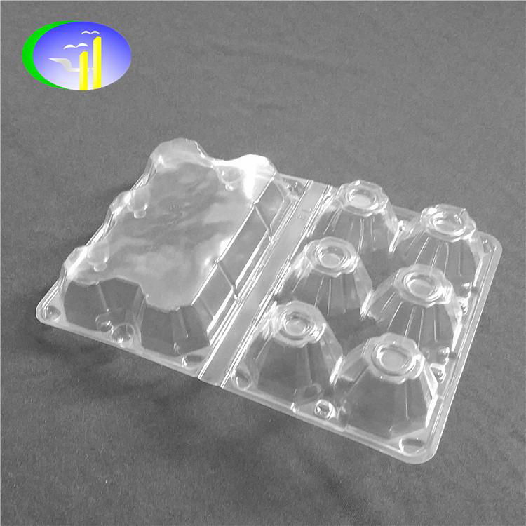 6 pcs Plastic Transparent Egg Container 2