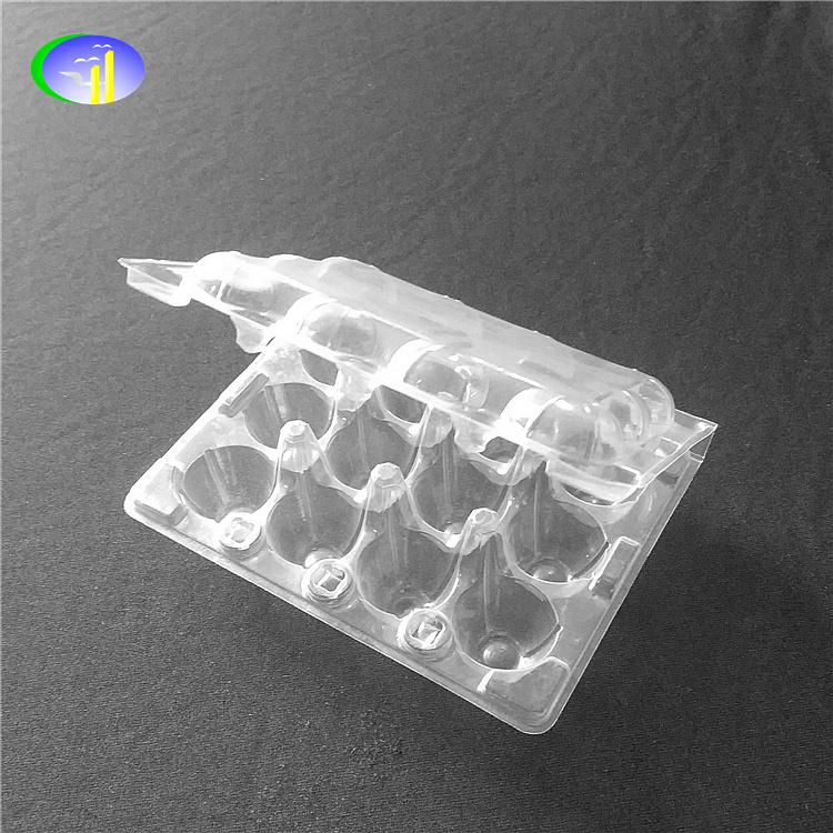 6 pcs Plastic Transparent Egg Container 3