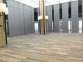 Free Design Luxury Folding Partitions for Art Gallery