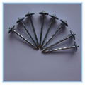 2.5"*9bwg Umbrella Head Roofing Nails