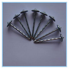 2.5"*9bwg Umbrella Head Roofing Nails with Washer. Galvanized Umbrella Roofing N
