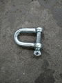 Japan Type Shackle 1