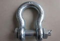 US Type Shackle 1