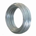 galvanized wire 1