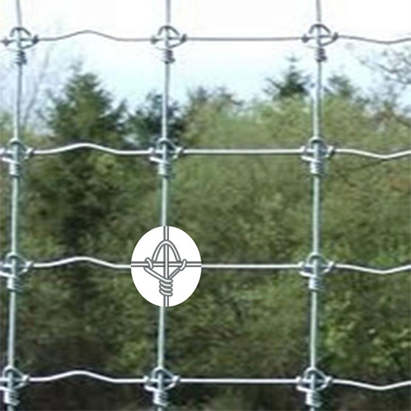 New Design Fixed Knot Field Wire Mesh Fencing for Sale 4