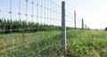 Hot dip galvanized fixed knot farm fence 5
