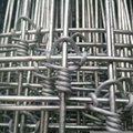galvanized-high tensile fixed knot goat&sheep fence 4