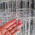 galvanized-high tensile fixed knot farm&field fence 5