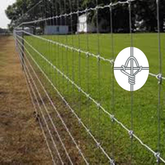 galvanized-high quality fixed knot farm&field fence 4