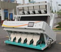 sunflower seeds sorter by color from manufacturer 2