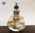 Mass manufacture 25ml brand shape glass perfume bottle 3