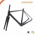  Full Carbon Fiber Gravel Bike Frame thru-axle 700x38C