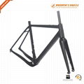 OEM Paint Bicycle Frames Size 49-58cm 2019 Workswell 1