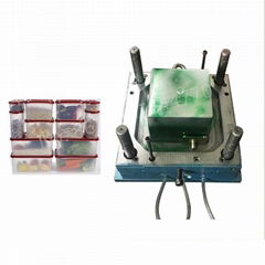 plastic food and fruit container mould with lid 
