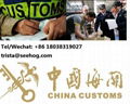 DHL clearance duty cost,Guangzhou Door To Door Delivery Services 2