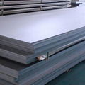 Stainless Steel Plates 1