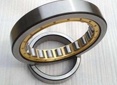cylindrical roller bearing NN3008