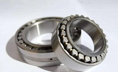 cylindrical roller bearing NN3009