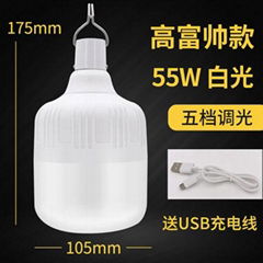 LED 應急燈55w