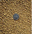 Beans Grain Sesame Seed Magnetic Separator remove clod seed cleaner seed cleanin 4