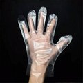Polythene Glove