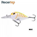 Recertop Big Mouth Long Thick Bill Deep Water Hunter Crankbait 5