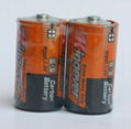 Kingever R20 SIZE D Dry battery 3