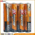 kingever AAA/LR03 Alkaline battery 1