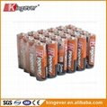 kingever AA size R6 dry battery  2