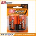 Kingever R20 SIZE D Dry battery 4
