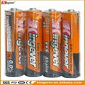 kingever AA/LR6 Alkaline battery 1