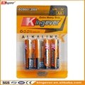 kingever AA/LR6 Alkaline battery 5