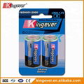 kingever 大号碱性电池 1.5V 2