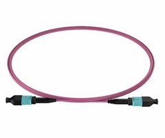 MPO to MPO 12F OM4 Patch Cord