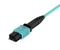 MTP to MTP Multimode OM3 12 Fiber Patch Cable 2