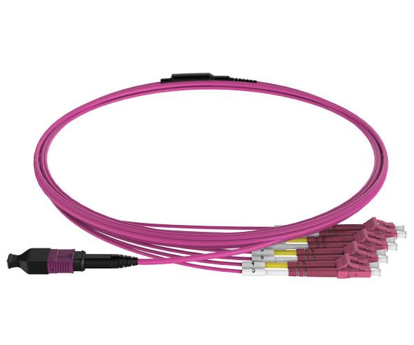 MPO Fiber Cable Harness to LC 40/100G FSG (China Manufacturer