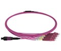 MPO Fiber Cable Harness to LC 40/100G 2