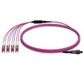 MPO Fiber Cable Harness to LC 40/100G