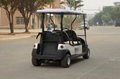 珠海大豐和4座電動高爾夫球車 4