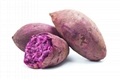 FD Purple Sweet Potato Dices 2